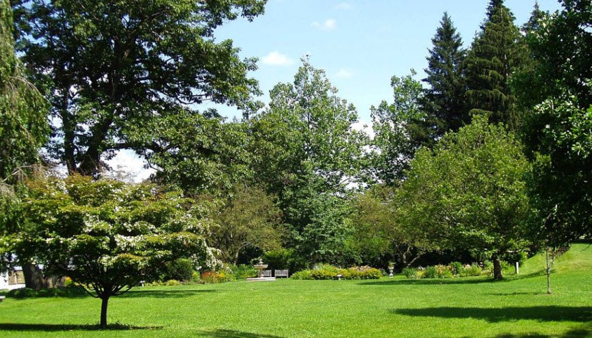 Hebert Arboretum At Springside Park, United States